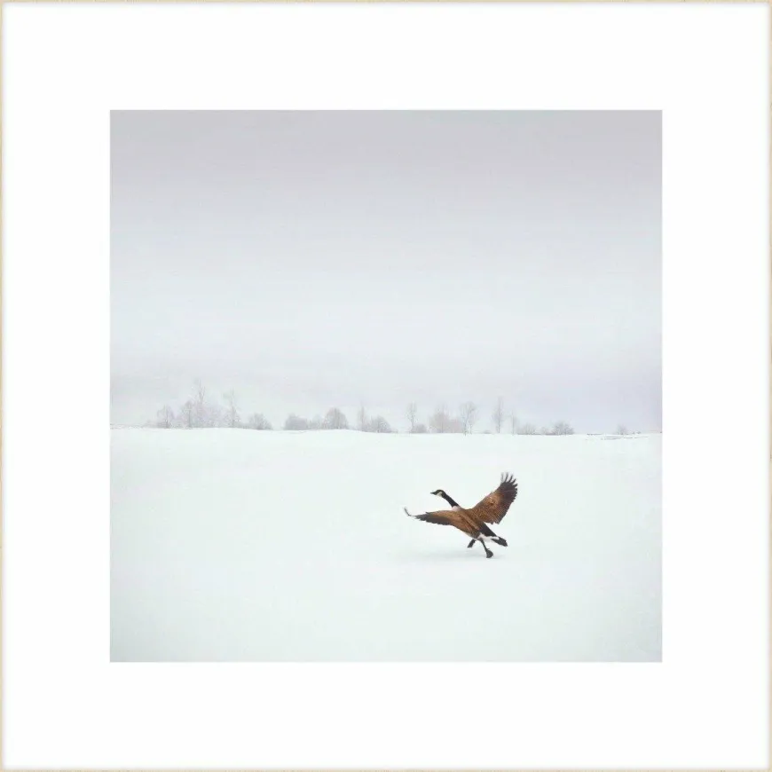 Wandkraft Winter Wonders 000