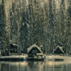 Wandkraft Winter Wonders 001