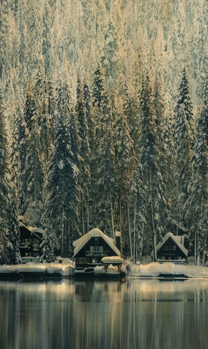 Wandkraft Winter Wonders 001