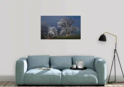 Wandkraft Winter Wonders 007