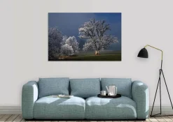 Wandkraft Winter Wonders 007