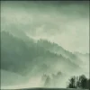 Wandkraft Winter Wonders 004