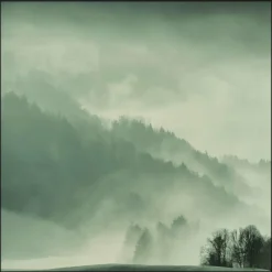 Wandkraft Winter Wonders 004