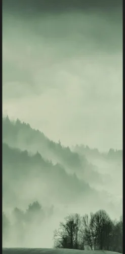 Wandkraft Winter Wonders 004