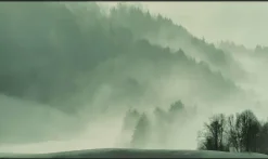 Wandkraft Winter Wonders 004