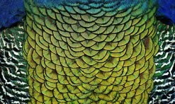 Wandkraft Wonderful Life 011