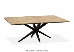 WoonMax Eettafel Wellington Rechthoek Lamulux - Diverse kleuren en afmetingen