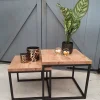 WoonMax Salontafel Floris set van 2 mango lamulux