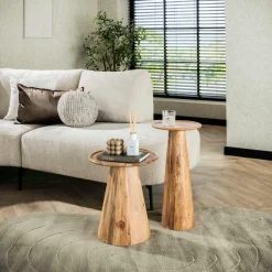 WoonStijl Bijzettafel set van 2 Cone