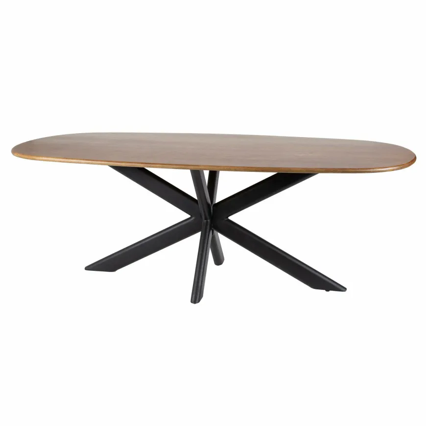 WoonStijl Eetkamertafel 215 Cliff ovale buis mango