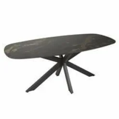 WoonStijl Eetkamertafel spider deens ovaal 180