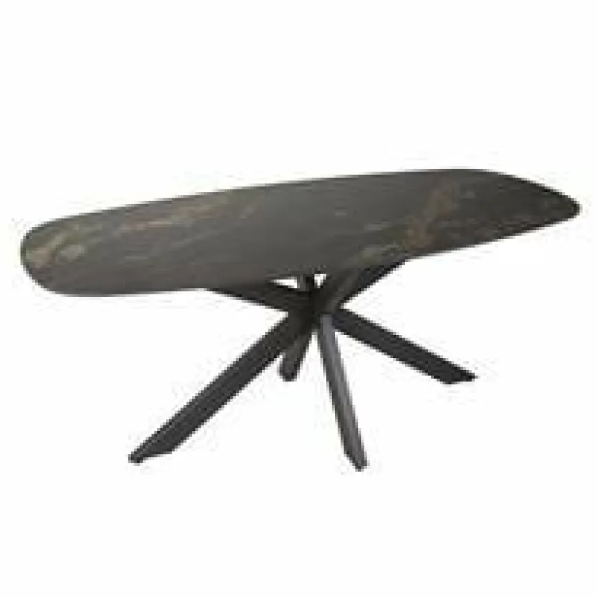 WoonStijl Eetkamertafel spider deens ovaal 180