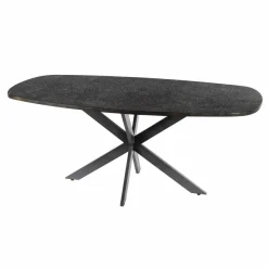 WoonStijl Eettafel 215 deens ovaal Metallic