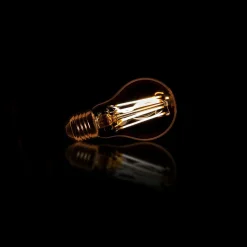WoonStijl Lichtbron LED filament peer