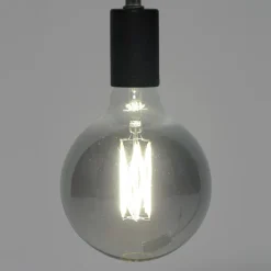 WoonStijl Lichtbron LED filament bol Ø12 5 - E27 6W 2100K 450lm dimbaar / Smoke grey glas