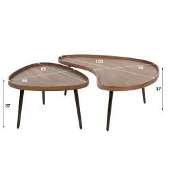 WoonStijl Salontafel Carve organisch set van 2