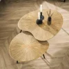 WoonStijl Salontafel set van 2 niervormig ray metal