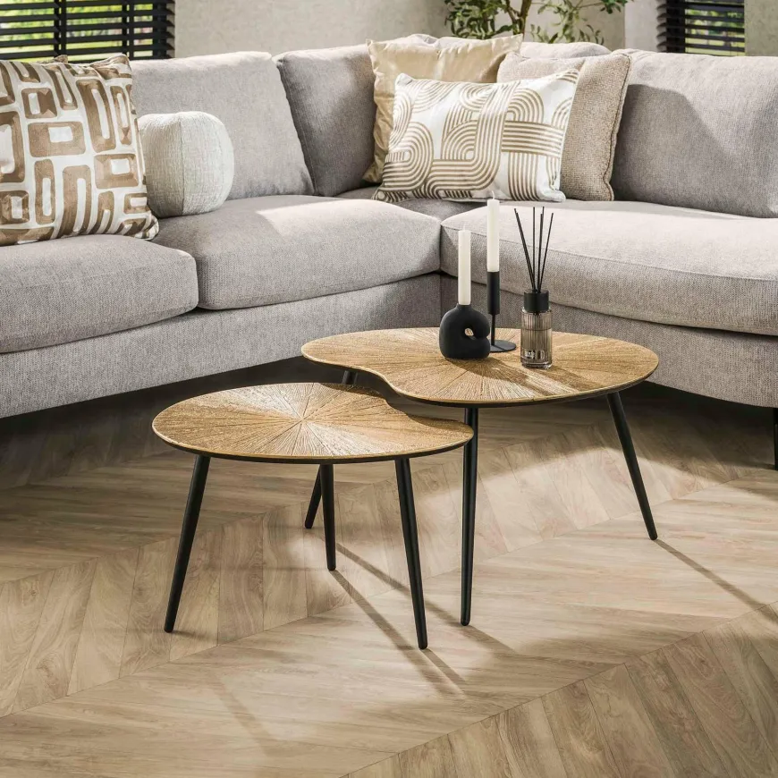 WoonStijl Salontafel set van 2 niervormig ray metal