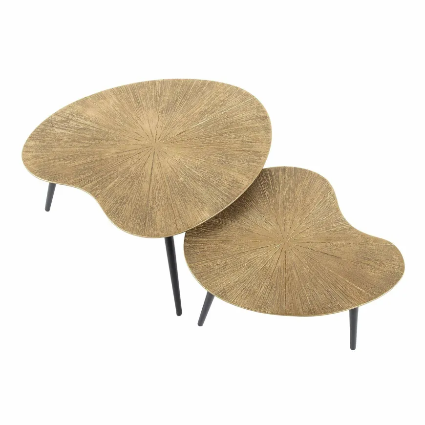 WoonStijl Salontafel set van 2 niervormig ray metal