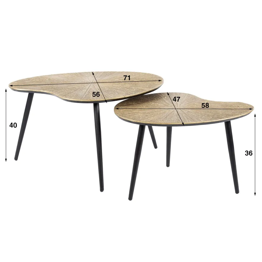 WoonStijl Salontafel set van 2 niervormig ray metal