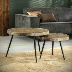 WoonStijl Salontafel set van 2 rond metallic