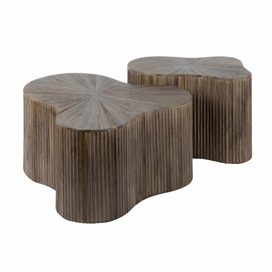 WoonStijl Salontafel set van 2 shamrock Maya teak