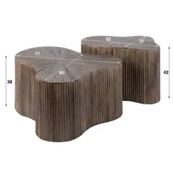 WoonStijl Salontafel set van 2 shamrock Maya teak