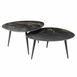 WoonStijl Salontafel set van 2 organisch fossil