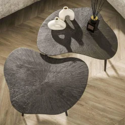 WoonStijl Salontafel set van 2 leaf Brown Ray Metal