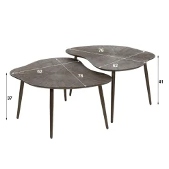 WoonStijl Salontafel set van 2 leaf Brown Ray Metal