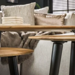 WoonStijl Salontafel set van 3 Acacia organisch