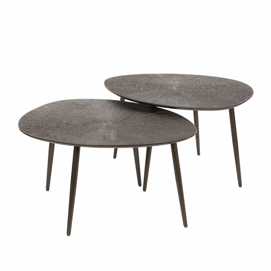 WoonStijl Salontafel set van 2 organisch Brown Ray Metal