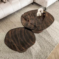 WoonStijl Salontafel set van 2 Eclipse brons antiek finish
