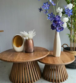 WoonStijl Salontafel set van 2 tweak conisch massief mango