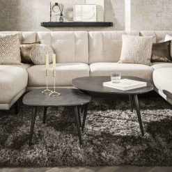 WoonStijl Salontafel set van 2 Rock shaped organisch
