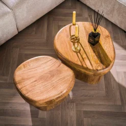 WoonStijl Salontafel Sleek mango set van 2
