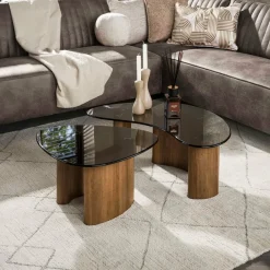 WoonStijl Salontafel Tinto organisch set van 2 salontafels met brons glas