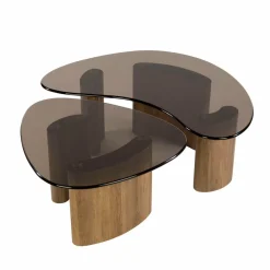 WoonStijl Salontafel Tinto organisch set van 2 salontafels met brons glas