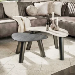 WoonStijl Salontafel Twin organisch set van 2 salontafels