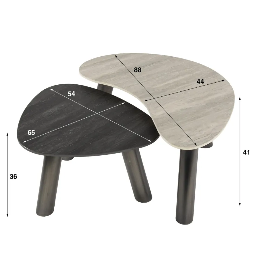 WoonStijl Salontafel Twin organisch set van 2 salontafels