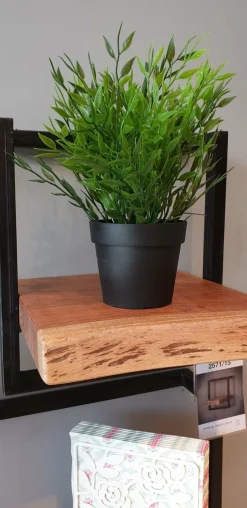 WoonStijl Wandplank Live Edge 30 cm breed