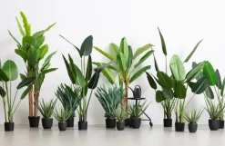 Woood AloË Vera Kunstplant Groen 46cm