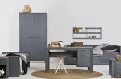 Woood Dennis Bureau Grenen Steel Grey Geborsteld [fsc]