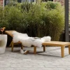 Woood Jinte ligbed tuin kunststof geel