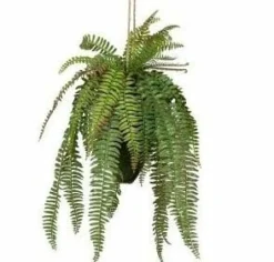 Woood Varen hangende kunstplant groen 58cm
